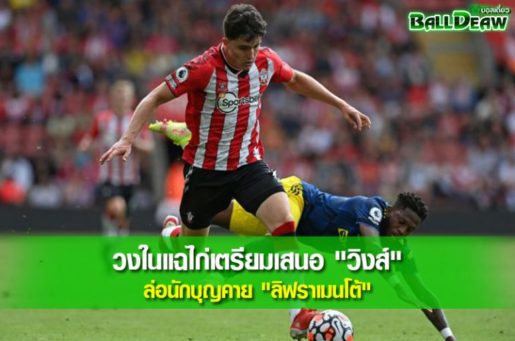 วงในแฉไก่เตรียมเสนอ "วิงส์" ล่อนักบุญคาย "ลิฟราเมนโต้"